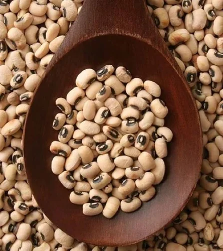 Cowpea (Black-Eyed Pea)