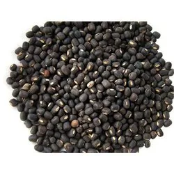 Black Gram / Urad Dal